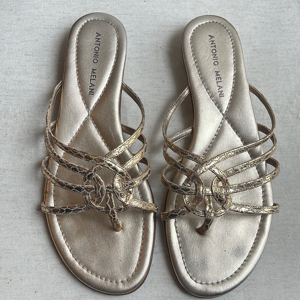 Antonio Melani Sandles